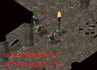 战宠如何快速升级?战力飙升秘籍大公开 战宠如何快速升级?战力飙升秘籍大公开