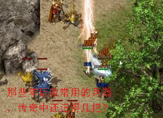 ��Щ����ҳ��õı����������л��ǵü��ѣ�