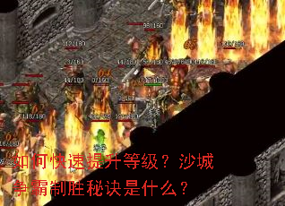 ��ο��������ȼ���ɳ��������ʤ�ؾ���ʲô��