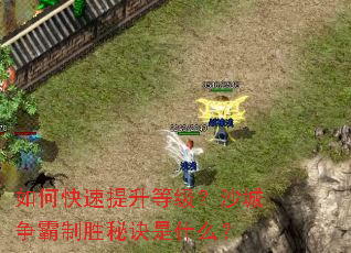 ��ο��������ȼ���ɳ��������ʤ�ؾ���ʲô��