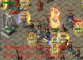 ����˽�����Ű汾�У��ĸ�ְҵ���������ĵ���֮����