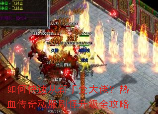 ��ο��ٴ����ֱ���У���Ѫ����˽��ˢ������ȫ����