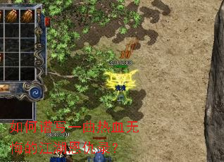 �����дһ����Ѫ�޻ڵĽ�������¼��