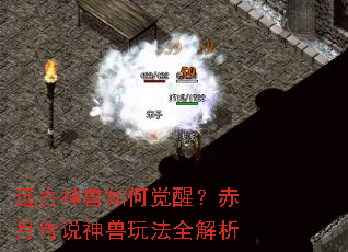 Զ��������ξ��ѣ����´�˵�����淨ȫ����