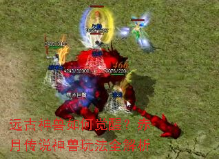 Զ��������ξ��ѣ����´�˵�����淨ȫ����