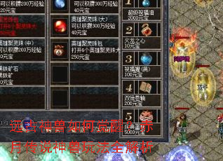 Զ��������ξ��ѣ����´�˵�����淨ȫ����