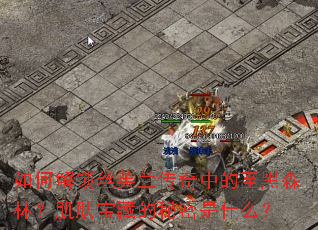 ��ν���˿ܽ�������е�����ɭ�֣��������ص�������ʲô��