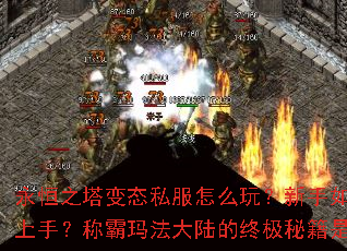 ����֮����̬˽����ô�棿������ο������֣��ư��귨��½���ռ��ؼ���ʲô��