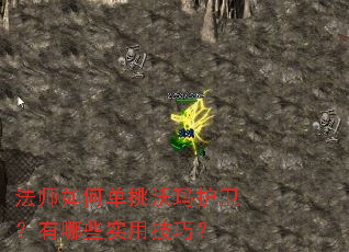 ��ʦ��ε������껤��������Щʵ�ü��ɣ�