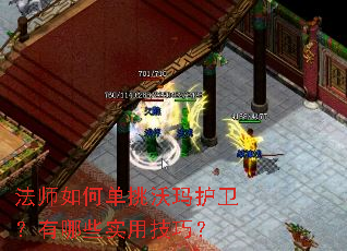 ��ʦ��ε������껤��������Щʵ�ü��ɣ�