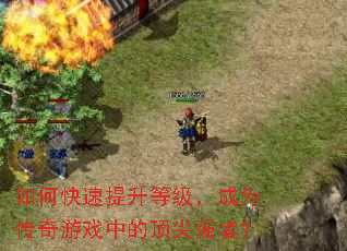 ��ο��������ȼ�����Ϊ������Ϸ�еĶ���ǿ�ߣ�