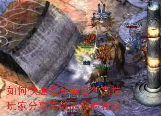 ��ο��������ȼ����߶���ҷ�����Чˢ�����ؾ�