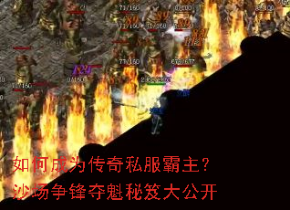 ��γ�Ϊ����˽��������ɳ�����������Ŵ󹫿�