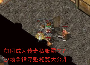 ��γ�Ϊ����˽��������ɳ�����������Ŵ󹫿�