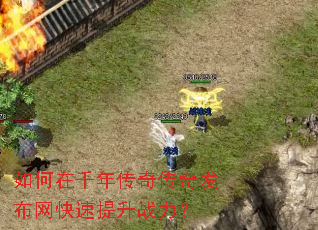 �����ǧ�괫�洫�淢������������ս����