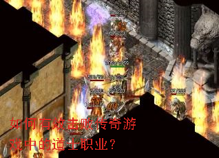 �����Ч���ܴ�����Ϸ�еĵ�ʿְҵ��
