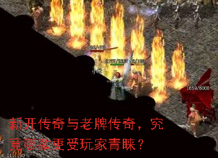�¿����������ƴ��棬�����Ŀ�������������