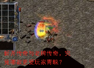 �¿����������ƴ��棬�����Ŀ�������������
