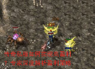 ����˽�����ʵ�ָ�ӯ����ר����Ƚ���ӯ������