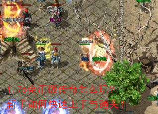 1.76��Ұ洫����ô�棿������ο���������ͨ�أ�