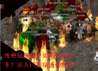 ����˽��������ο������֣������ŵ���ͨȫ����