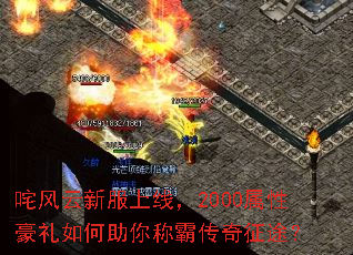 ������·����ߣ�2000���Ժ����������ưԴ�����;��