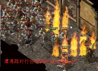 �����ж��л��Աʱ�����Ӧ�ԣ�