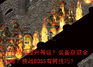 ��ο��������ȼ���װ����ȡȫ���ԣ���սBOSS�кμ��ɣ�