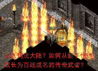 �����귨��½����δ����ֿ��ٳɳ�Ϊ��ս�����Ĵ������ߣ�