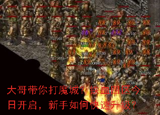 �������ħ�ǣ���Ѫ�������տ�����������ο���������