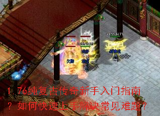 1.76�����Ŵ�����������ָ�ϣ���ο������ֽ���������⣿