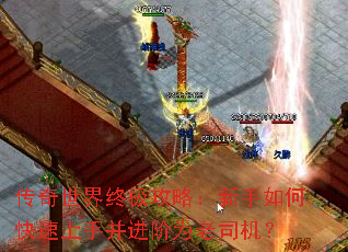 传奇世界终极攻略:新手如何快速上手并进阶为老司机? 传奇世界终极攻略:新手如何快速上手并进阶为老司机?