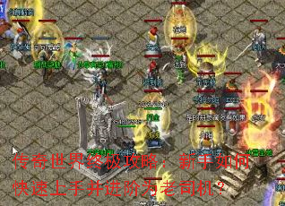 传奇世界终极攻略:新手如何快速上手并进阶为老司机? 传奇世界终极攻略:新手如何快速上手并进阶为老司机?
