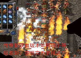 ��������Ѫ�汾�����С�ȼ���࣬ʵ��ʵ�����ӽ���
