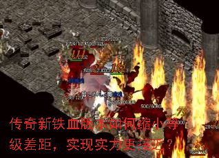��������Ѫ�汾�����С�ȼ���࣬ʵ��ʵ�����ӽ���