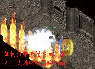 �����������ɳĮ֮��������½�ռ�ð��ָ��