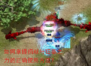 如何掌握捐献与狂暴之力的正确使用方法? 如何掌握捐献与狂暴之力的正确使用方法?
