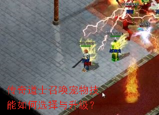 �����ʿ�ٻ����＼�����ѡ����������