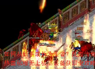 如何从新手成长为王者?乱轰传奇志热血私服无上极品装备获取全攻略 如何从新手成长为王者?乱轰传奇志热血私服无上极品装备获取全攻略