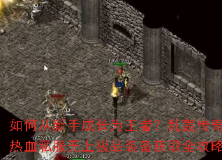 如何从新手成长为王者?乱轰传奇志热血私服无上极品装备获取全攻略 如何从新手成长为王者?乱轰传奇志热血私服无上极品装备获取全攻略