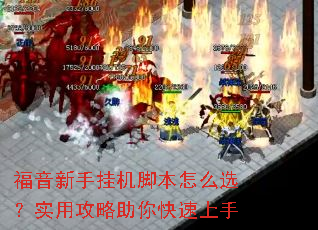 �������ֹһ��ű���ôѡ��ʵ�ù��������������