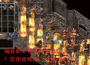 �������ֹһ��ű���ôѡ��ʵ�ù��������������