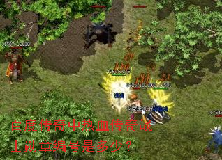 百度传奇中热血传奇战士勋章编号是多少? 百度传奇中热血传奇战士勋章编号是多少?