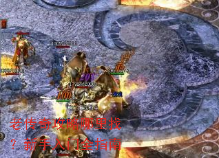 �ϴ��湥�������ң���������ȫָ��