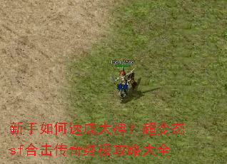 ��������ٳɴ��񣿳���̬sf�ϻ������ռ����Դ�ȫ