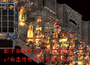 ��������ٳɴ��񣿳���̬sf�ϻ������ռ����Դ�ȫ