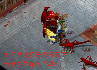 如何快速提升龙行天下传奇中的角色等级? 如何快速提升龙行天下传奇中的角色等级?