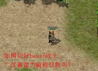 ������haosfսʿ��������������ȡʤ��