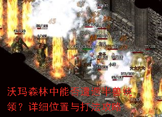 ����ɭ�����ܷ���������ͳ�죿��ϸλ����򷨹���