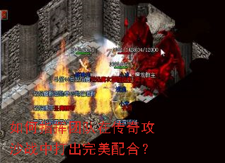 ���ָ���Ŷ��ڴ��湥ɳս�д��������ϣ�